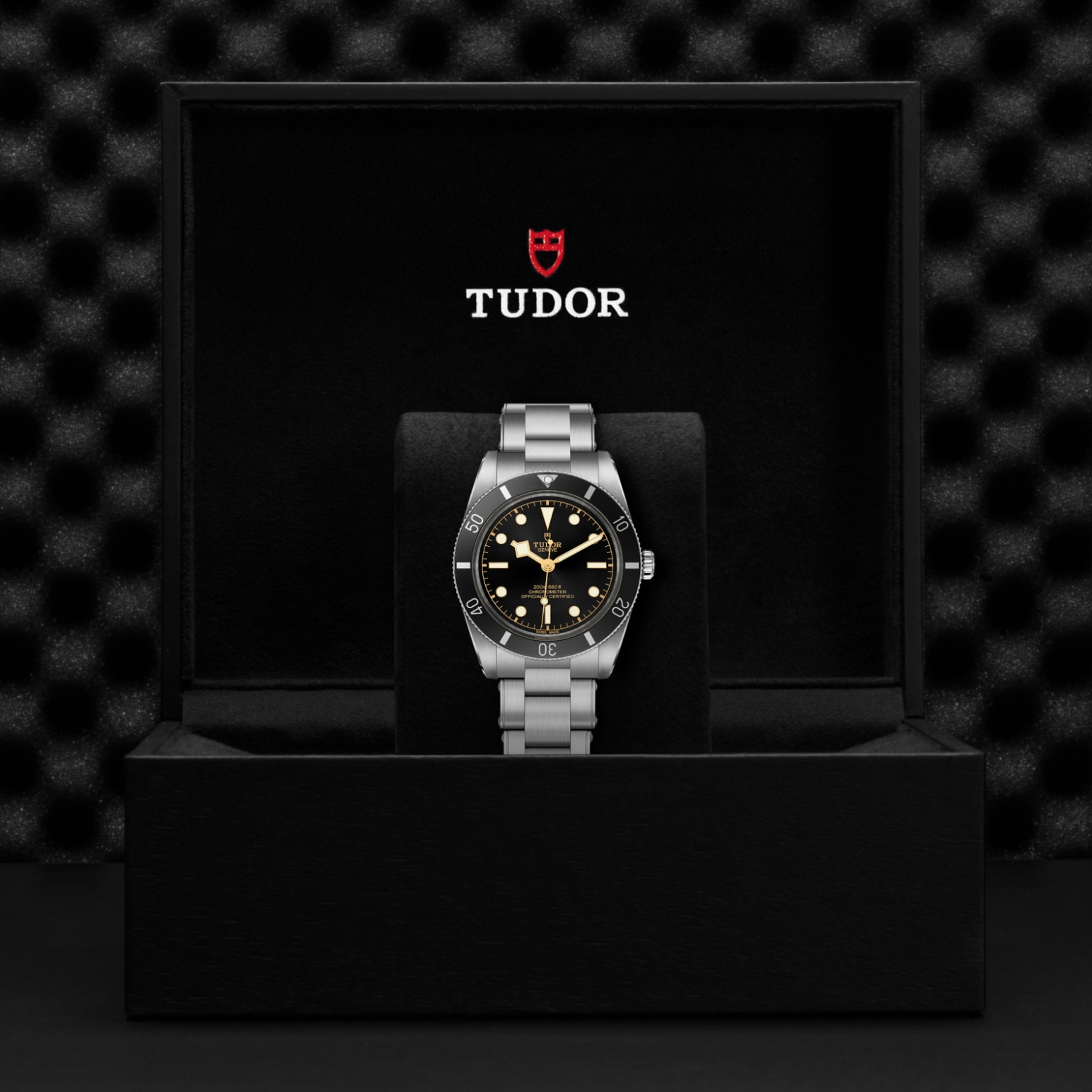Reloj Tudor M79000N-0001 galeria 3