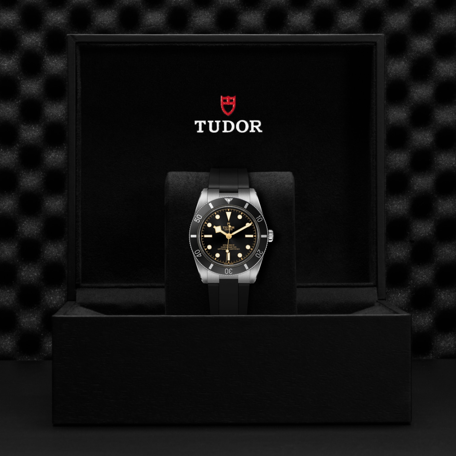 Reloj Tudor M79000N-0002 galeria 3