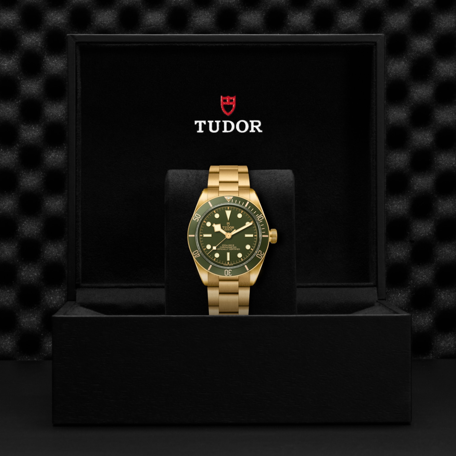 Reloj Tudor M79018V-0006 galeria 3