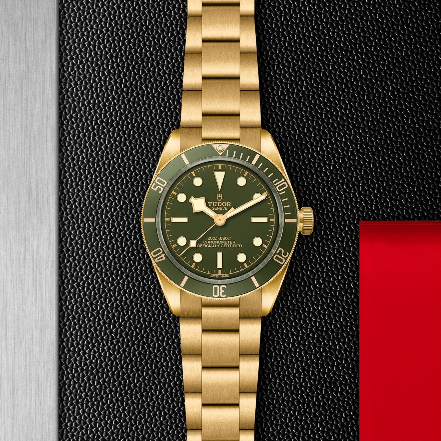 Reloj Tudor M79018V-0006 galeria 4