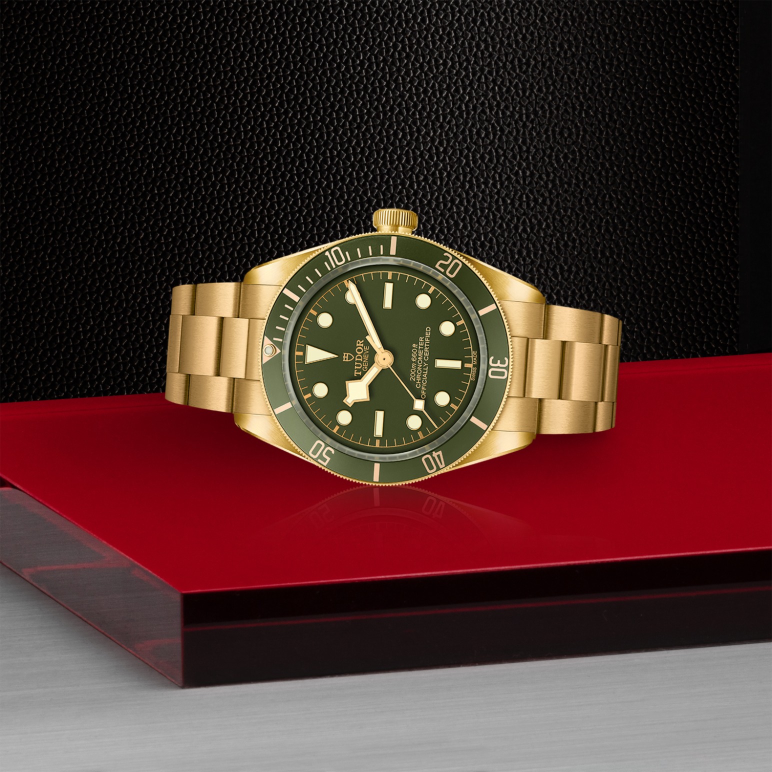 Reloj Tudor M79018V-0006 galeria 5