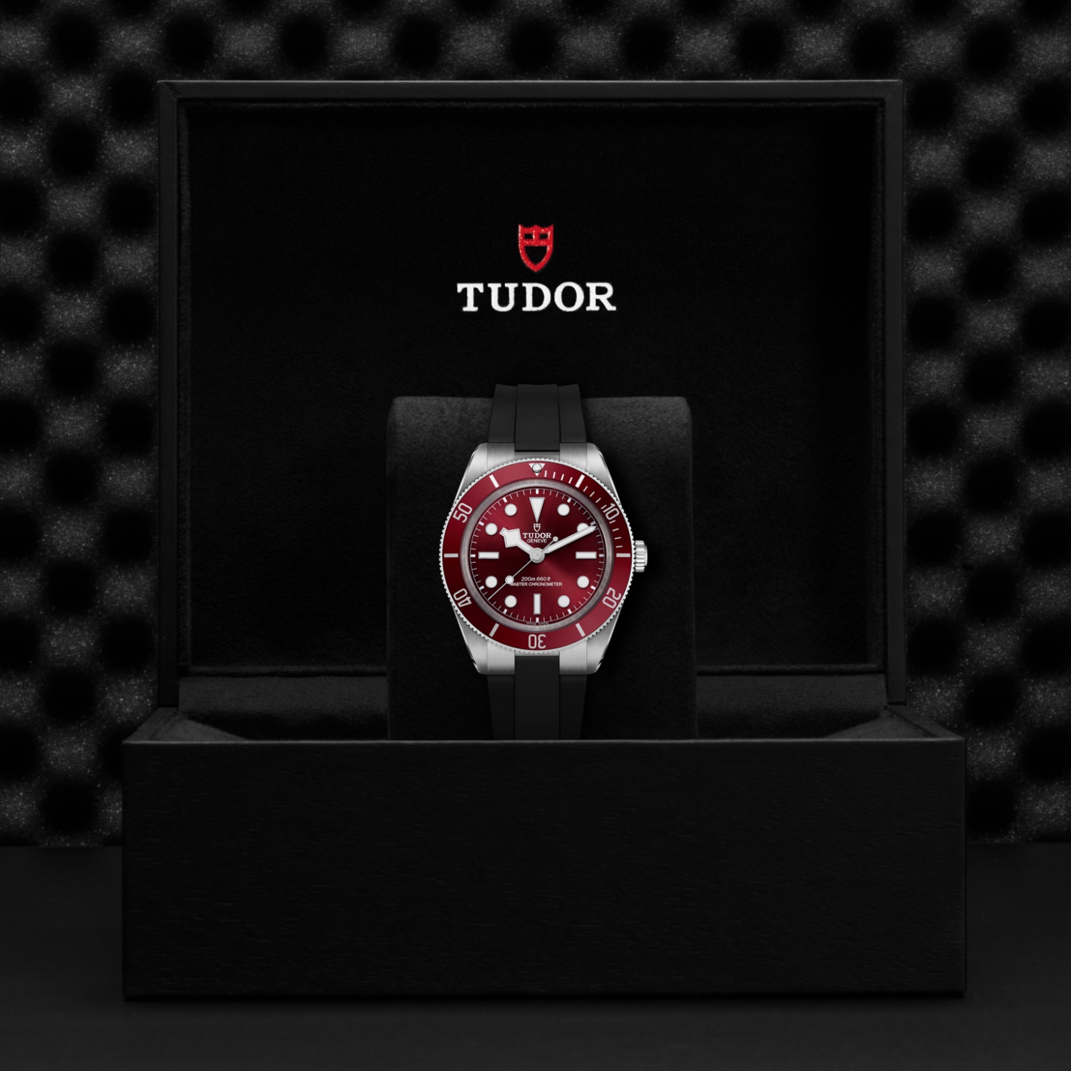 Reloj Tudor M7939A1A0RU-0003 galeria 3
