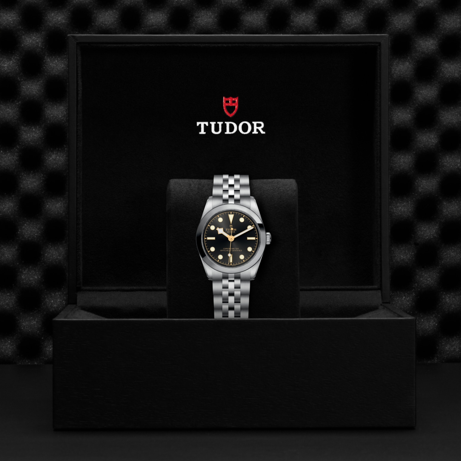 Reloj Tudor M79600-0001 galeria 3
