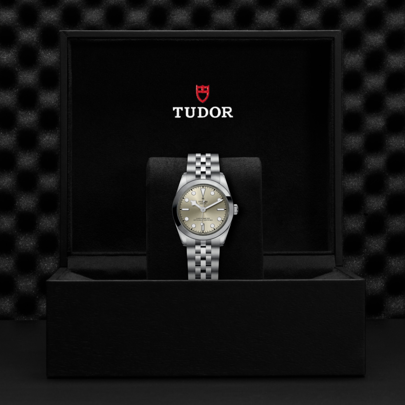 Reloj Tudor M79600-0003 galeria 3
