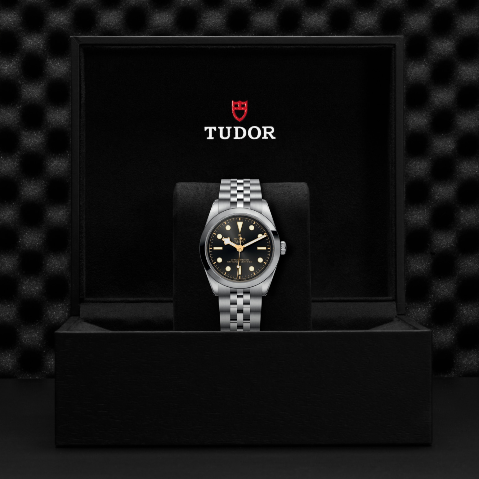 Reloj Tudor M79640-0001 galeria 3